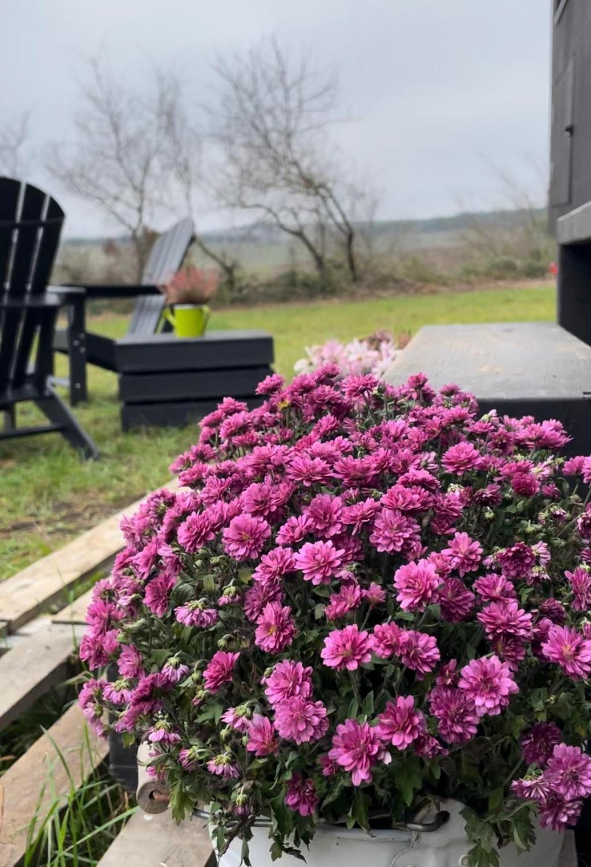 L'envolee Ecolodge, Tiny House Au Coeur Des Vignes * Loches-sur-Ource